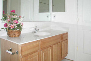 Basket of flowers sit on top of a wide bathroom vanity with mirror and medicine cabinet
