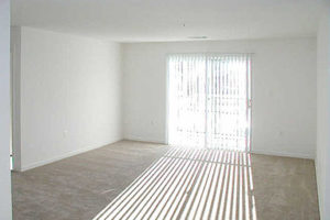 Carpeted living area with sliding glass door leading to balcony