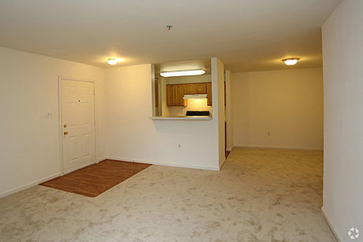 Carpeted living area with cutout in wall viewing the kitchen. Wood floor section for door entryway 